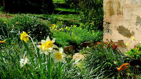 The Pig And Whistle - Accommodation Batemans Bay 20