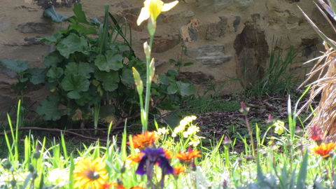 The Pig And Whistle - Accommodation Batemans Bay 17