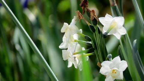 The Pig And Whistle - Accommodation Batemans Bay 21