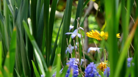 The Pig And Whistle - Accommodation Batemans Bay 22