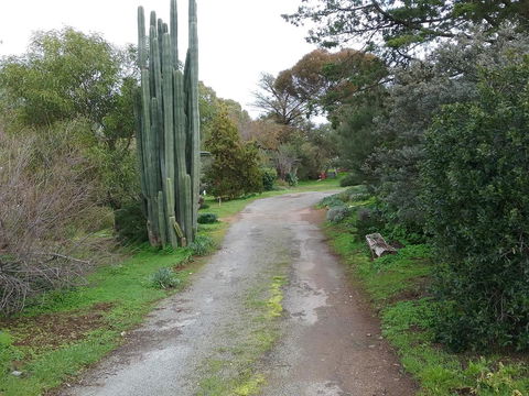 The Pig And Whistle - Accommodation Batemans Bay 37