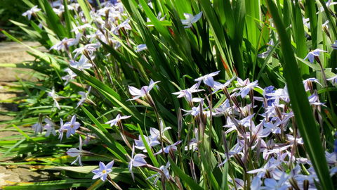 The Pig And Whistle - Accommodation Batemans Bay 24