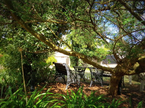 The Pig And Whistle - Accommodation Batemans Bay 4