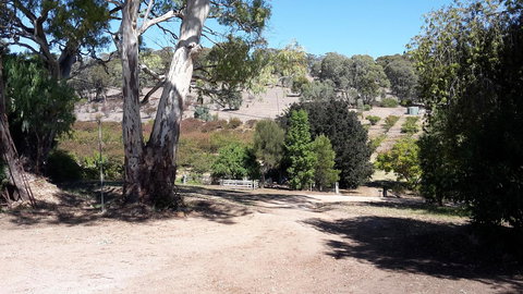 Taralee Orchards - Accommodation Batemans Bay 3