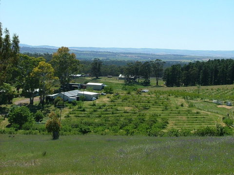 Taralee Orchards - Accommodation Batemans Bay 0