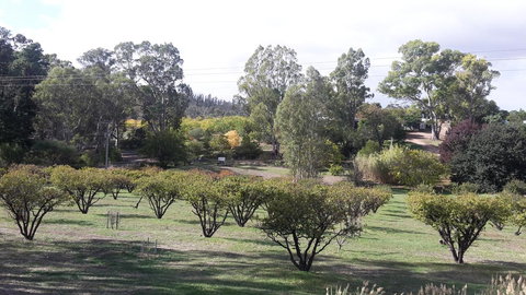Taralee Orchards - Accommodation Batemans Bay 1