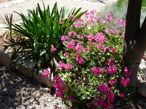 Country Bakehouse Accommodation - Accommodation Batemans Bay 18