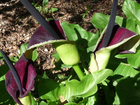 Country Bakehouse Accommodation - Accommodation Batemans Bay 19