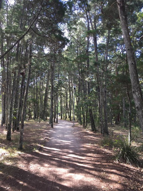 Brunswick Heads Treetop Studio - Accommodation Batemans Bay 8