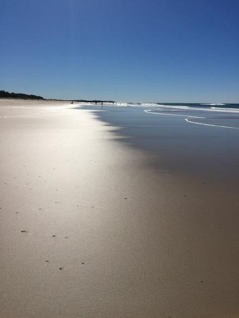 Brunswick Heads Treetop Studio - Accommodation Batemans Bay 23
