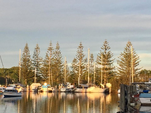 Brunswick Heads Treetop Studio - Accommodation Batemans Bay 24