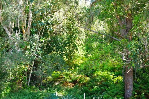 Brunswick Heads Treetop Studio - Accommodation Batemans Bay 20