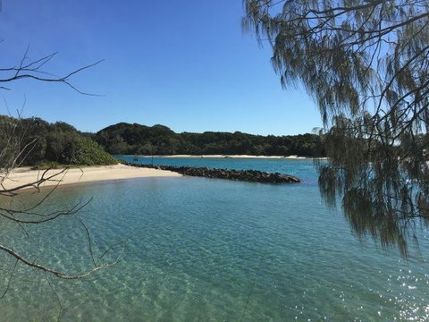 Brunswick Heads Treetop Studio - Accommodation Batemans Bay 22