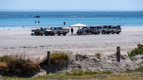 Wallaroo Holiday Park - Accommodation Batemans Bay 9