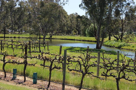 OXENBERRY FARM - Accommodation Batemans Bay 19