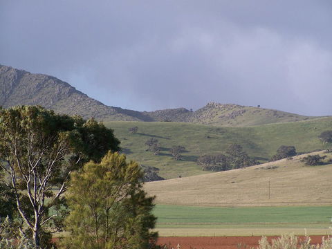 Burra Motor Inn - Accommodation Batemans Bay 32