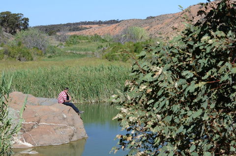 Burra Motor Inn - Accommodation Batemans Bay 34