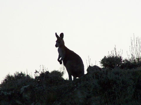 Burra Motor Inn - Accommodation Batemans Bay 37