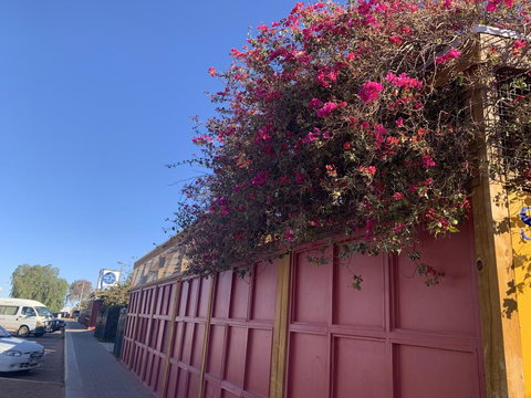 Opal Inn Hotel, Motel, Caravan Park - Accommodation Batemans Bay 44