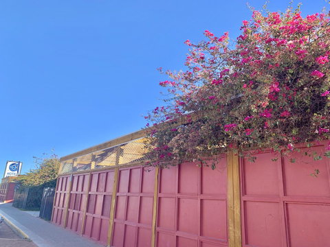 Opal Inn Hotel, Motel, Caravan Park - Accommodation Batemans Bay 39