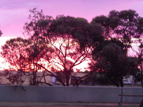 Wudinna Gawler Ranges Motel And Caravan Park - Accommodation Batemans Bay 11