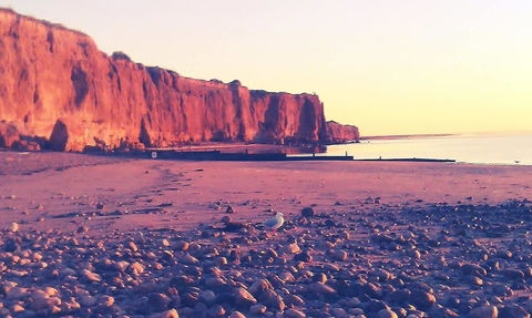 Ardrossan Caravan Park - Accommodation Batemans Bay 31