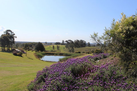 Beltana Villas - Accommodation Batemans Bay 7