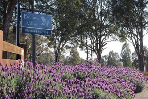 Beltana Villas - Accommodation Batemans Bay 10