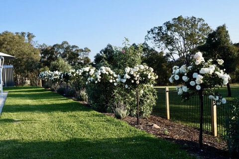 Beltana Villas - Accommodation Batemans Bay 2