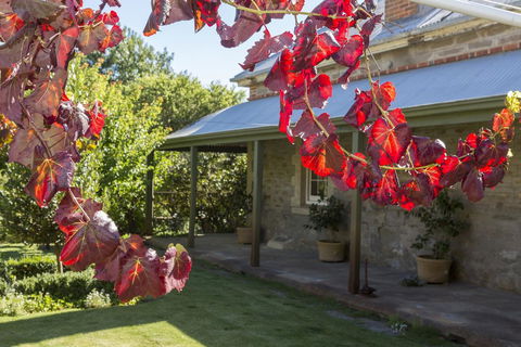 Grand Cru Estate Homestead - Accommodation Batemans Bay 1