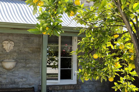 Grand Cru Estate Homestead - Accommodation Batemans Bay 10