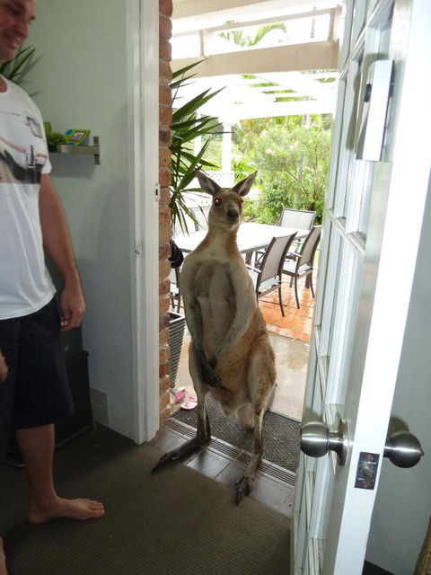 Aston Motel Yamba - Accommodation Batemans Bay 10