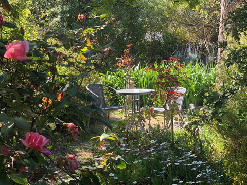 Treasured Memories Cottage - Accommodation Batemans Bay 17