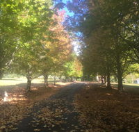 A peaceful cabin in the country - Accommodation Batemans Bay