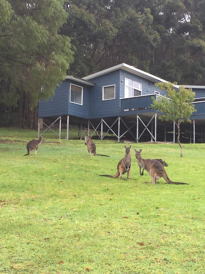  Accommodation Batemans Bay