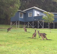 Blue House Denmark - Accommodation Batemans Bay