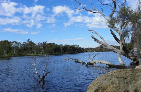 Ascot Comfort - Accommodation Batemans Bay 23