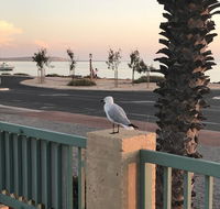 Shark Bay Seafront Apartments - Accommodation Batemans Bay