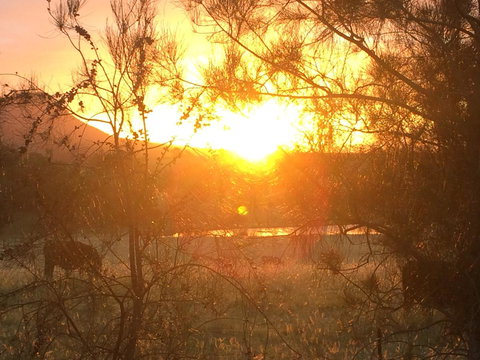 Grapevines Boutique Accommodation - Accommodation Batemans Bay 27