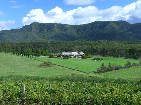 Grapevines Boutique Accommodation - Accommodation Batemans Bay 23