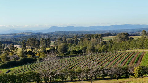 Grapevines Boutique Accommodation - Accommodation Batemans Bay 21