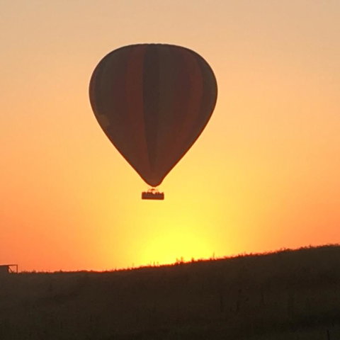 Grapevines Boutique Accommodation - Accommodation Batemans Bay 13