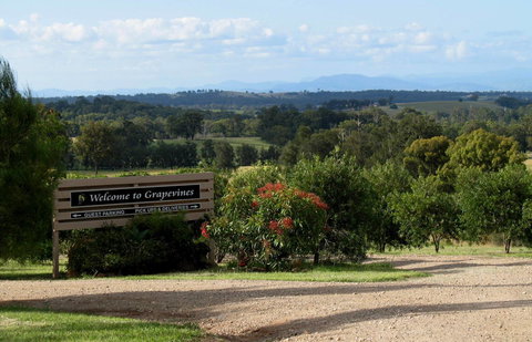 Grapevines Boutique Accommodation - Accommodation Batemans Bay 15