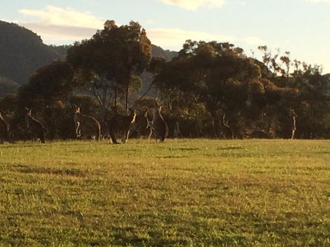 Grapevines Boutique Accommodation - Accommodation Batemans Bay 26