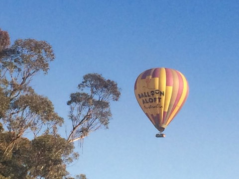 Grapevines Boutique Accommodation - Accommodation Batemans Bay 12