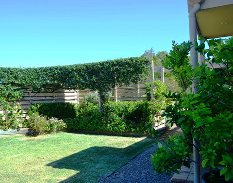 Grapevines Boutique Accommodation - Accommodation Batemans Bay 14