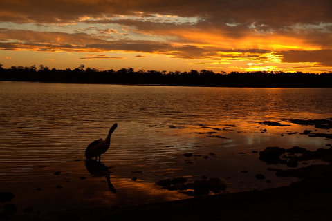 Dungowan Holiday Accommodation - Accommodation Batemans Bay 31