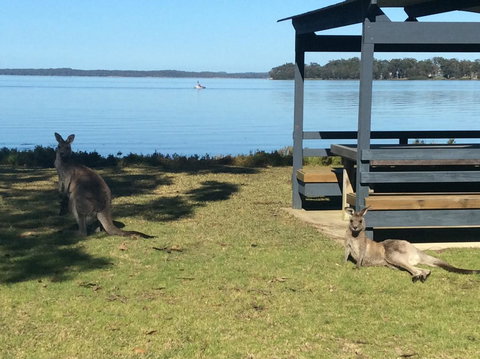 Dungowan Holiday Accommodation - Accommodation Batemans Bay 33