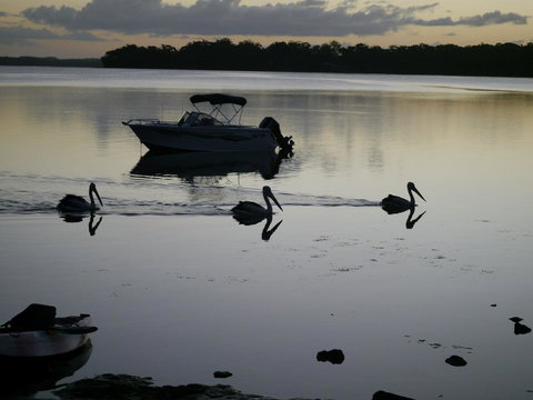 Dungowan Holiday Accommodation - Accommodation Batemans Bay 41