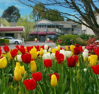 Nesuto Leura Gardens formerly Waldorf Leura Gardens Resort - Accommodation Batemans Bay